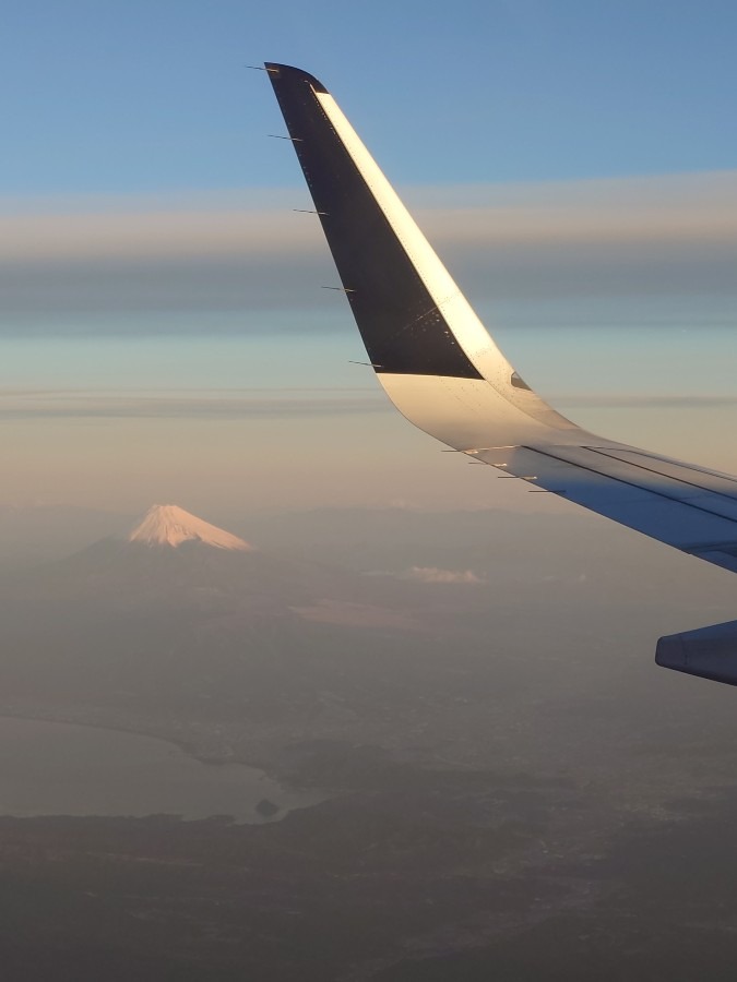 大晦日から東京へ✈️