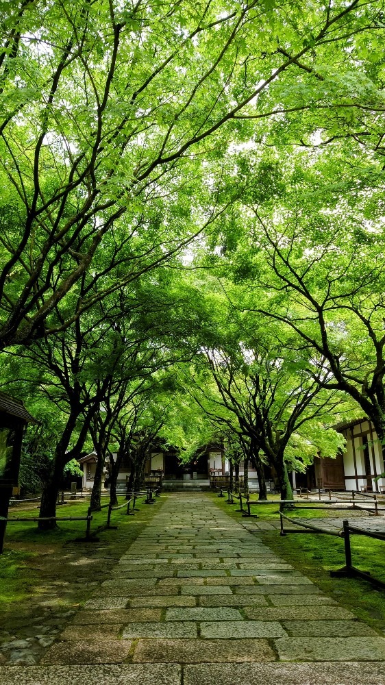 呑山観音寺🛕