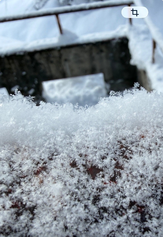 ありのーままでー❄️
