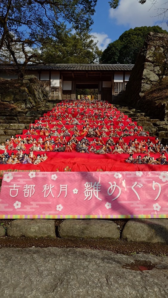 秋月 雛めぐり🎎✨️