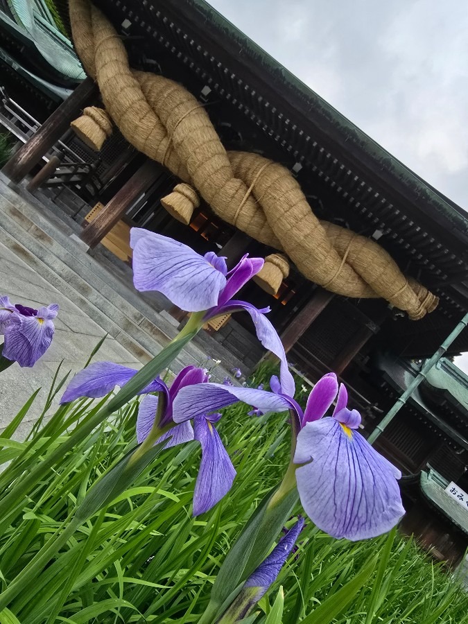 そろそろ見頃かも