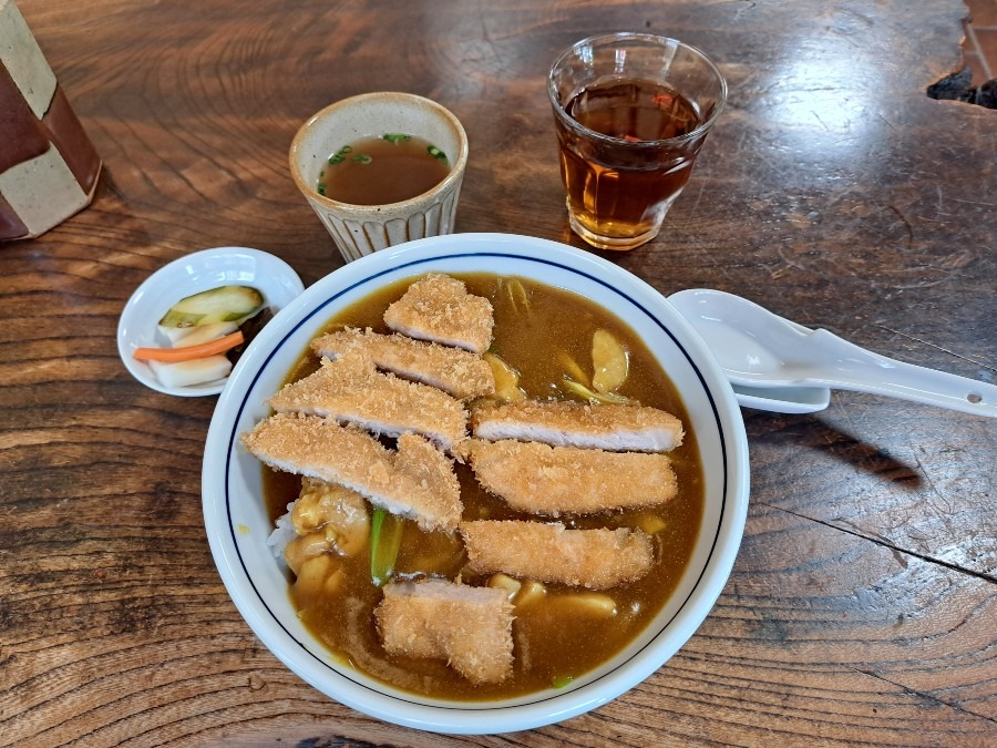 どうしてもカレーが食べたくて