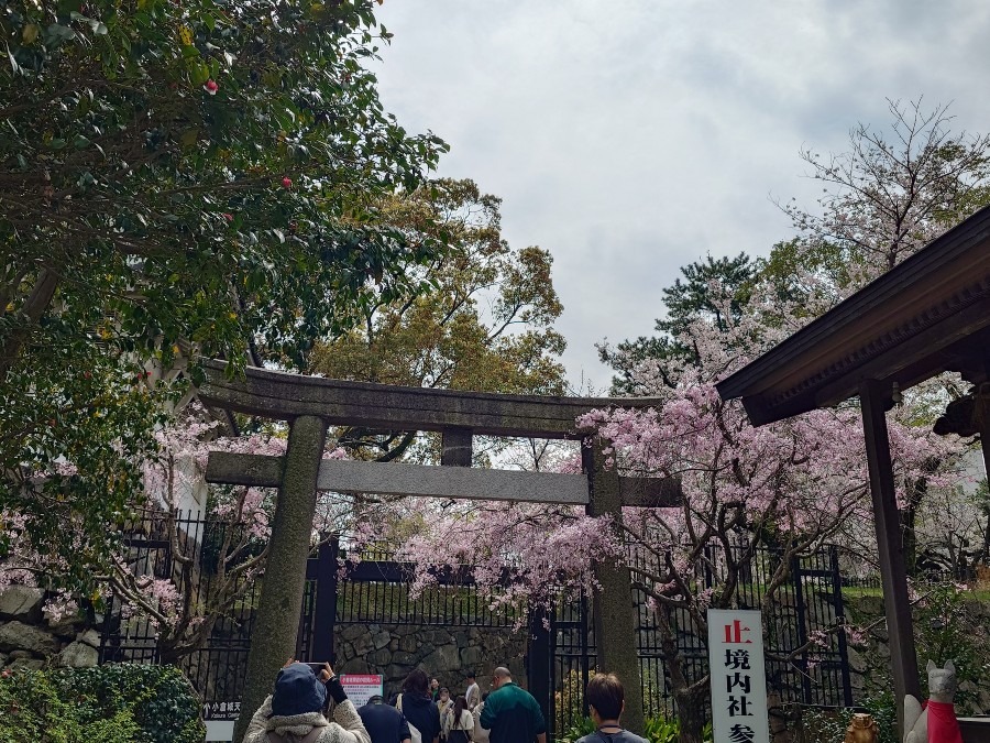 天気イマイチ